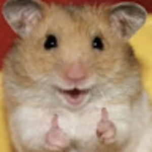 Meet your Posher, Salomon